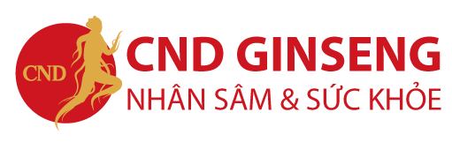 Sâm Bắc Mỹ VN